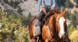 Secretary of Homeland Security Kristi Noem films an ad at Mount Rushmore. The ad was a part of a $220 million campaign to recruit more DHS workers. Noem said Trump signed off on the expense, but the President refuted that