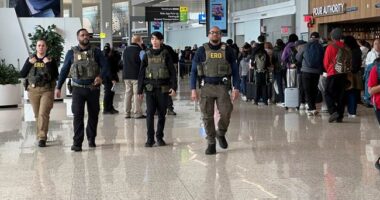 Trump Will Issue an Order to Pay TSA Agents Despite Shutdown – HotAir
