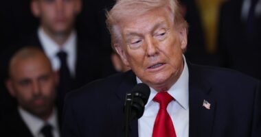 Trump admits Americans should be worried about retaliatory attacks at home due to Iran war: ‘I guess so’