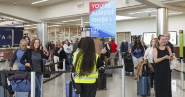 Trump may find a way to pay TSA officers, in a move that could end long waits at airport security