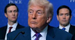 President Donald Trump has expressed concern that the Supreme Court will rule against his birthright citizenship executive order after striking down most of his tariff plans