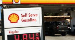 Trump professes no concern for rise in gasoline prices that have jumped over the last week