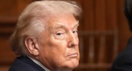 Trump rejects any shutdown deal with Democrats without voter ID despite TSA chaos