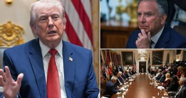 President Donald Trump on Thursday revealed the mysterious 'present' given to the United States from the Iranians that the US is negotiating with to try to end the war. 'You know I told you about a present, right? Steve, can I reveal the present?' Trump asked. Trump was holding a Cabinet meeting, one that stretched for nearly 100 minutes, and asked his special envoy Steve Witkoff if he could divulge how the Iranians the US was in contact with proved they were legitimate. 'You can do anything you want, sir,' Witkoff replied.