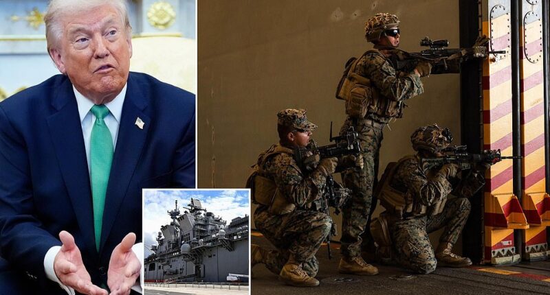 President Donald Trump said Tuesday he is 'not afraid' to deploy US ground troops within Iran , further emphasizing the lengths he is willing to go in his Middle East war. Speaking from the Oval Office alongside Ireland's Taoiseach, Micheal Martin, the President fielded many questions about the Iran war. 'Are you afraid that if you put boots on the ground in Iran, it could be another Vietnam?' one reporter asked. 'No,' Trump shot back, adding, 'I'm not afraid of anything.' The President has previously said that he would deploy ground troops if 'necessary,' but he has offered few details on what scenario would prompt a boots-on-the-ground invasion.