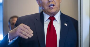 In his Truth Social post, Trump noted, 'I, as President, will not sign other Bills until this is passed,' because 'It must be done immediately. It supersedes everything else'