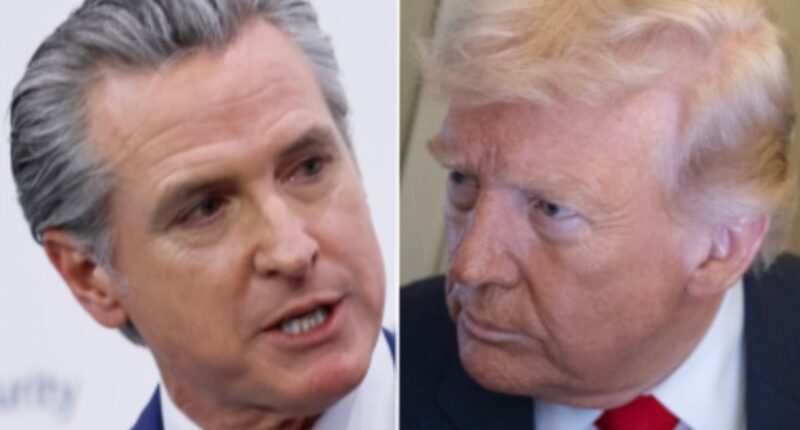 Trump takes another swipe at Gavin ‘Newscum’ and claims he’s not qualified to be president: ‘Everything about him is dumb’