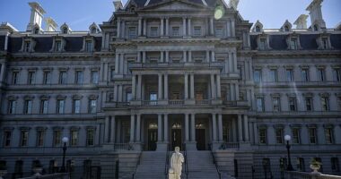 A statue of Christopher Columbus was erected on the grounds of the White House, on the north side of the Eisenhower Executive Office Building, over the weekend