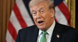 The legislation, officially called the Save America Voting Eligibility Act, would require proof of U.S. citizenship to cast a ballot, a measure Trump has spent weeks demanding as essential to 'protect American elections'