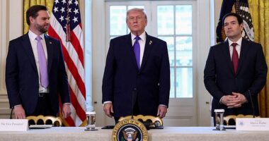 President Donald Trump has asked donors and advisors their thoughts comparing Secretary of State Marco Rubio and Vice President JD Vance