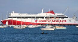 Two Australian states make public transport free as soaring fuel prices hit commuters