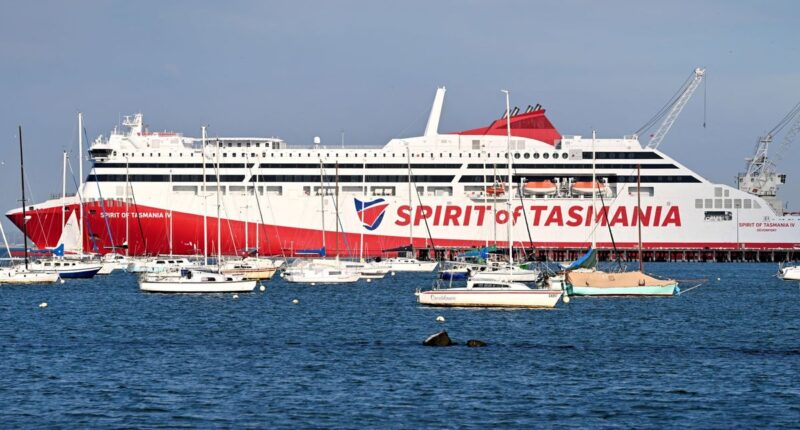 Two Australian states make public transport free as soaring fuel prices hit commuters