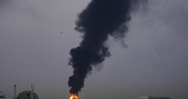 UAE Minister's Brilliant Response to Iran's Attacks