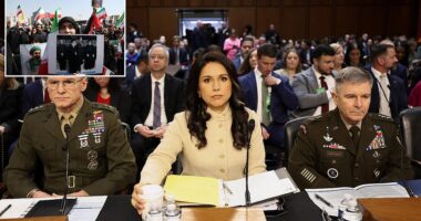 The US intelligence community believes that among the biggest threats to US national security are the rise of radicalized US-based lone wolf actors. The 2026 Annual Threat Assessment released by the Director of National Intelligence Tulsi Gabbard's office reveals that terrorism threats from teenage extremists are on the rise. 'The most likely terrorist attack scenario in the Homeland involves U.S.-based lone offenders,' the March 2026 unclassified report notes. It goes on to list the 2025 New Year's Day attack in New Orleans, Louisiana , and the June 2025 attack in Boulder, Colorado , and blames anti-Israel sentiment for the rise in these types of offenses. 'These individuals take inspiration from foreign terrorist ideologies and propaganda that often exploit world events such as the Gaza conflict to fuel radicalization and mobilization,' the report claims.