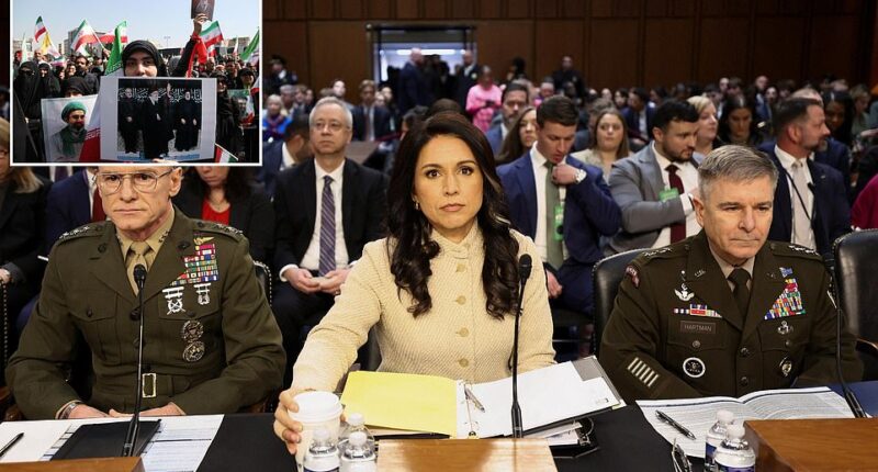 The US intelligence community believes that among the biggest threats to US national security are the rise of radicalized US-based lone wolf actors. The 2026 Annual Threat Assessment released by the Director of National Intelligence Tulsi Gabbard's office reveals that terrorism threats from teenage extremists are on the rise. 'The most likely terrorist attack scenario in the Homeland involves U.S.-based lone offenders,' the March 2026 unclassified report notes. It goes on to list the 2025 New Year's Day attack in New Orleans, Louisiana , and the June 2025 attack in Boulder, Colorado , and blames anti-Israel sentiment for the rise in these types of offenses. 'These individuals take inspiration from foreign terrorist ideologies and propaganda that often exploit world events such as the Gaza conflict to fuel radicalization and mobilization,' the report claims.