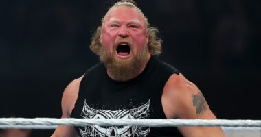 WWE Fans Dealt Brutal News on Brock Lesnar's Future
