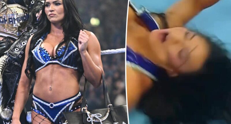 WWE star Kiana James suffers wardrobe malfunction during live elimination match