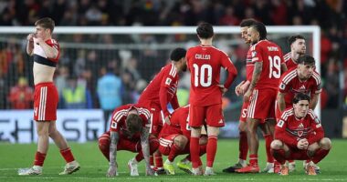 Wales were knocked out of contention for the World Cup finals this summer in agonising fashion