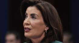 'We Need More Time' for Costly Climate Change Law That's Raising Utility Rates, Says NY Gov. Hochul – RedState
