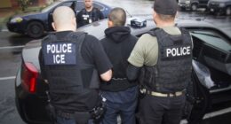 What Happened With the ICE Arrest at SFO Airport – HotAir