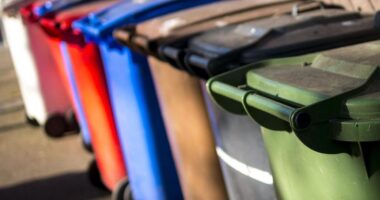 What are the new rules for household waste and recycling in England?