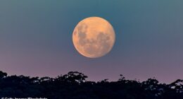 The next full moon brings the perfect time to have earnest conversations about your love life and start up new romances, an astrologer has claimed. Stock image used