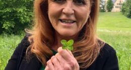 Last seen out in public in London in December for the christening of her youngest granddaughter, Sarah Ferguson (pictured, in County Donegal in Ireland) has disappeared from view amid the ongoing fallout from her links to Jeffrey Epstein