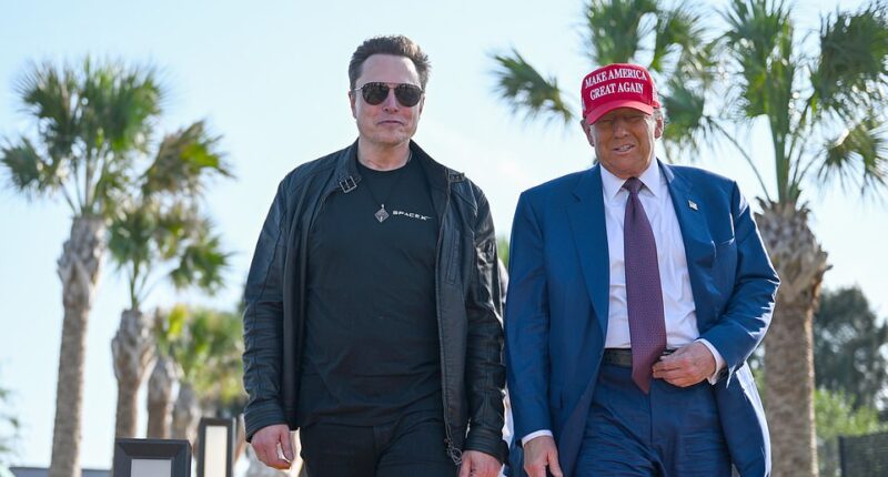 The White House has rejected Elon Musk's $250 million offer to cover TSA workers' salaries amid the partial government shutdown after giving it serious consideration. The shutdown, now in its sixth week, has left Department of Homeland Security (DHS) workers without pay after Democrats blocked a GOP bill to fund the department. 'I would like to offer to pay the salaries of TSA personnel during this funding impasse that is negatively affecting the lives of so many Americans at airports throughout the country,' Musk, the world's richest man, posted on X Monday. But the offer was rejected by the White House on Wednesday despite Trump earlier stating he 'loved' the proposal. 'We greatly appreciate Elon's generous offer,' White House Spokeswoman Abigail Jackson told the Daily Mail in a statement. 'This would pose great legal challenges due to his involvement with federal government contracts.'