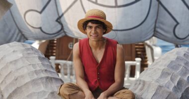 Why He Saves Luffy & What He Does Next