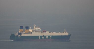 Why Iran’s ‘drifting’ mines in the Strait of Hormuz will be so difficult to clear – despite Trump’s claim ‘we don’t need help’