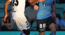 Strikers are usually measured by the number of goals they score - but try telling that to Sydney FC star Apostolos Stamatelopoulos (pictured, right) who joined the club from Motherwell in February