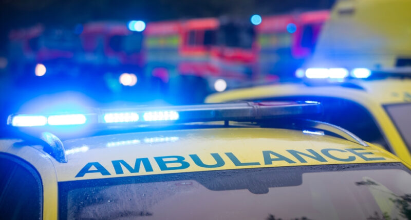 Woman Found Dead in Burning Camper Had Been Shot