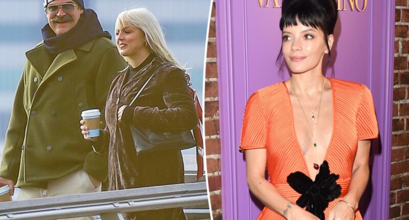 Woman linked to David Harbour kicked out of Lily Allen's producer's party: report