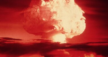 A new poll found that 53 per cent of Britons believe it is ‘likely’ or ‘very likely’ that we will be dragged into global conflict within the next five to ten years (file photo)