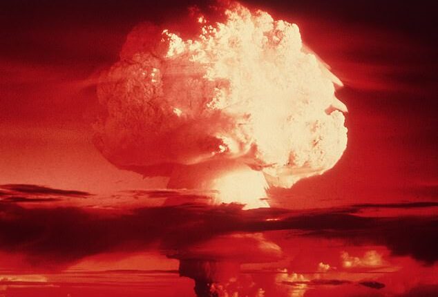 A new poll found that 53 per cent of Britons believe it is ‘likely’ or ‘very likely’ that we will be dragged into global conflict within the next five to ten years (file photo)