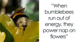 You Don’t Need To Like Science To Enjoy These 83 Memes And Interesting Posts (New Pics)