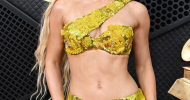 Zara Larsson has kept fans mesmerized by her washboard abs and toned physique