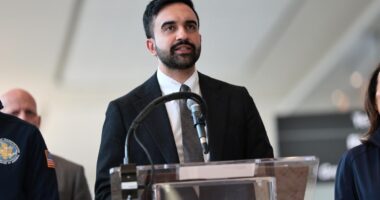 Zohran Mamdani was pitched to SNL, but they passed for someone funny