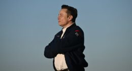 ‘Do you believe in Elon?’: Musk tests Tesla investors’ faith with an expensive chip-making plan