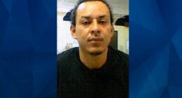 ‘Serial Criminal’ Migrant Pushes 83-Year-Old Air Force Veteran Onto Subway Tracks, Killing Him