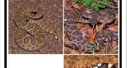 110 Camping And Hiking Memes To Help You Get In Touch With Nature