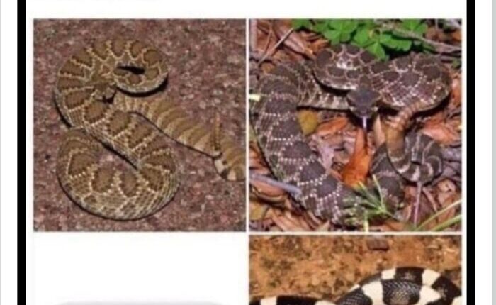 110 Camping And Hiking Memes To Help You Get In Touch With Nature