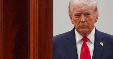 President Donald Trump argued on Sunday that the Iranian people want the US to unleash its military power on the country