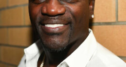 Akon: Bio And Career Highlights