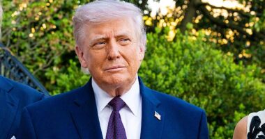 President Donald Trump is calling on Republicans to support the renewal of a controversial surveillance law that can record the conversations of everyday Americans