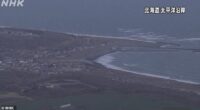 Massive waves were seen consuming vast swathes of Japan's coastline