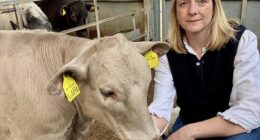 Ann Maidment, 42, who works on her family's cattle and horse farm in north Wiltshire, said it took just five minutes and £184 to sign up her prize animal, Beau Vine (pictured left), as a legitimate rubbish disposer
