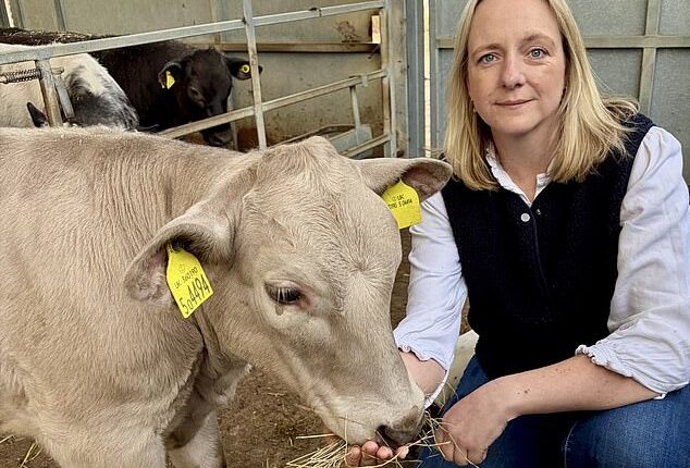 Ann Maidment, 42, who works on her family's cattle and horse farm in north Wiltshire, said it took just five minutes and £184 to sign up her prize animal, Beau Vine (pictured left), as a legitimate rubbish disposer
