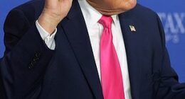 President Donald Trump