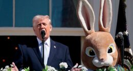 Democratic Representative Jamie Raskin pointed to President Donald Trump's behavior at the White House Easter Egg Roll (pictured) as evidence that he may be 'exhibiting signs consistent with dementia and cognitive decline'